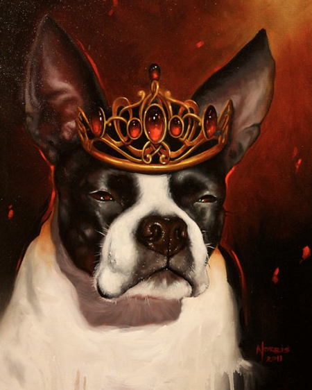 Cory Norris - dog portrait